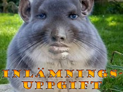 Inlämningsuppgift